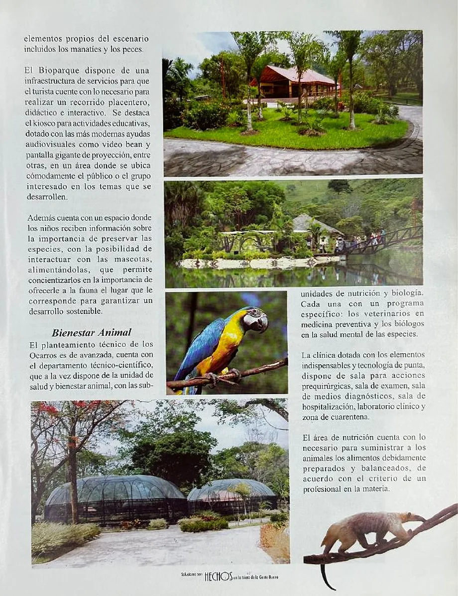 Miniatura de la página 119